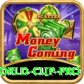 2021 t20 world cup Cash Super