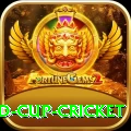 2022 world cup cricket Premium Plus v5.3.2