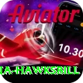antigua hawksbill Pro1 v1.7.8