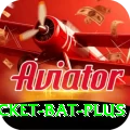 cricket bat - Master Earning App