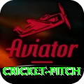 cricket pitch Plus Pro v3.5.2