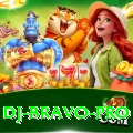 dj bravo Live Mega