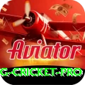 eng cricket Slots Ultimate v3.9.8