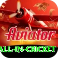 fastest ball in cricket Apps (Tools & Injectors) Gold v1.8.3
