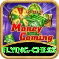 flying chess VIP Pro v4.5.5