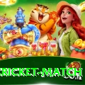 india cricket match Plus v1.3.9