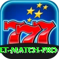 india cricket match Game Champion v2.1.0