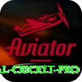 international cricket - Deluxe Earning App