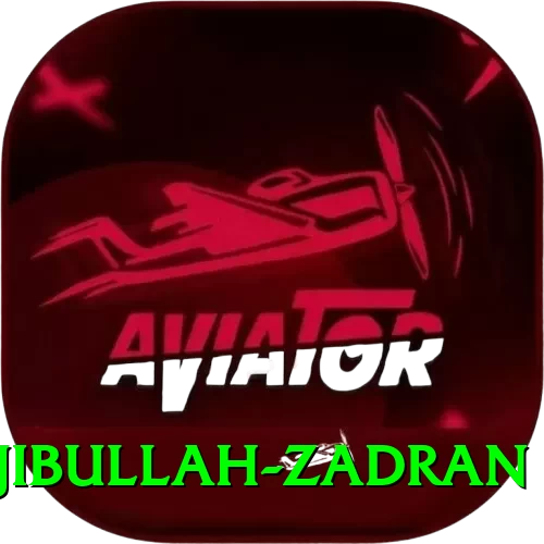 najibullah zadran Deluxe Pro v3.7.7 - 2