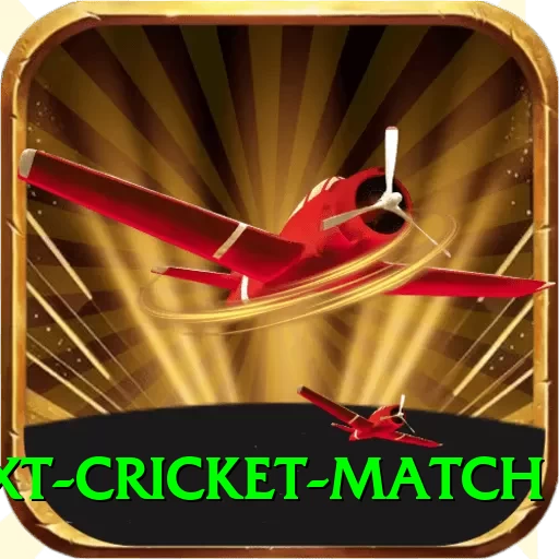 next cricket match Ultimate v2.8.2 - 2