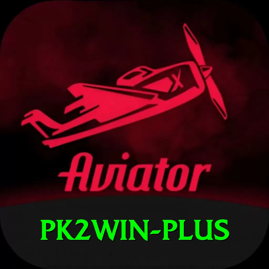 pk2win Max Pro v3.1.6 - 2
