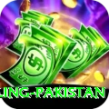 responsible gambling pakistan Max v4.2.0