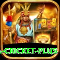 sa cricket Pakistan Champion v3.6.1