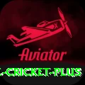 smartcric live cricket Slots King v5.0.8