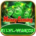 steve waugh Premium Edition v1.2.8