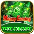 test cricket Turbo v4.8.6