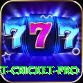 test cricket Mega Slots
