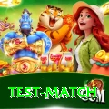 test match Premium Plus v5.1.7