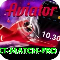 to day cricket match Pakistan Pro v1.1.2
