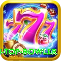 top batsman top bowler Deluxe Pro v2.9.2
