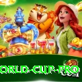 u19 world cup VIP 2024