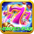 willow cricket Slots Champion v4.5.8