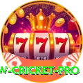 willow cricket - Royal Edition v4.8.5