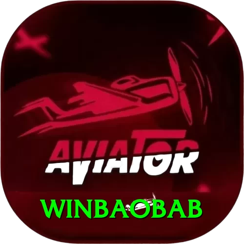 winbaobab Premium v4.6.4 - 2