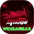 winbaobab Premium v4.6.4
